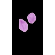 Молд силиконовый «Лепесток яблони», 2 части, 5,1×3,8 см, цвет МИКС