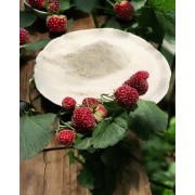 Пектин NH АРС 210 С (термообратимый), 50 г.