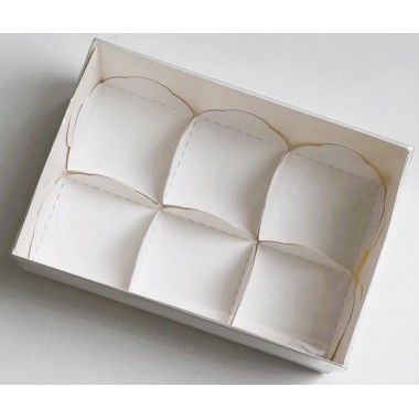 Коробка для 6 моти 175*120*55 (белая) с пласт. крышкой и ложементами, 1 шт Коробка для 6 моти 175*120*55 (белая) с пласт. крышкой и ложементами, 1 шт