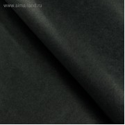 Бумага упаковочная тишью, черный, 50 х 66 см, 10 шт (2654624)