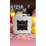 Коробка-чемодан 300*300*300 мм с окном (гофрокартон), 10 шт