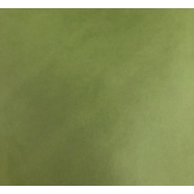 Бумага тишью №42 "Болотный", 50 х 76 см