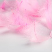 Наполнитель из перьев для шаров и подарков «Нежность» , 15 х 11 см.