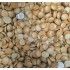 Шоколад молочный Intense 35% (кувертюра) Velichе, Бельгия, 100 г. Шоколад молочный Intense 35% (кувертюра) Velichе, Бельгия, 100 г.